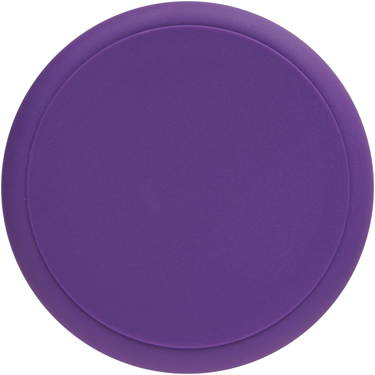 Borraccia da 700 ml con coperchio a vite H2O Active® Eco Tempo - Viola