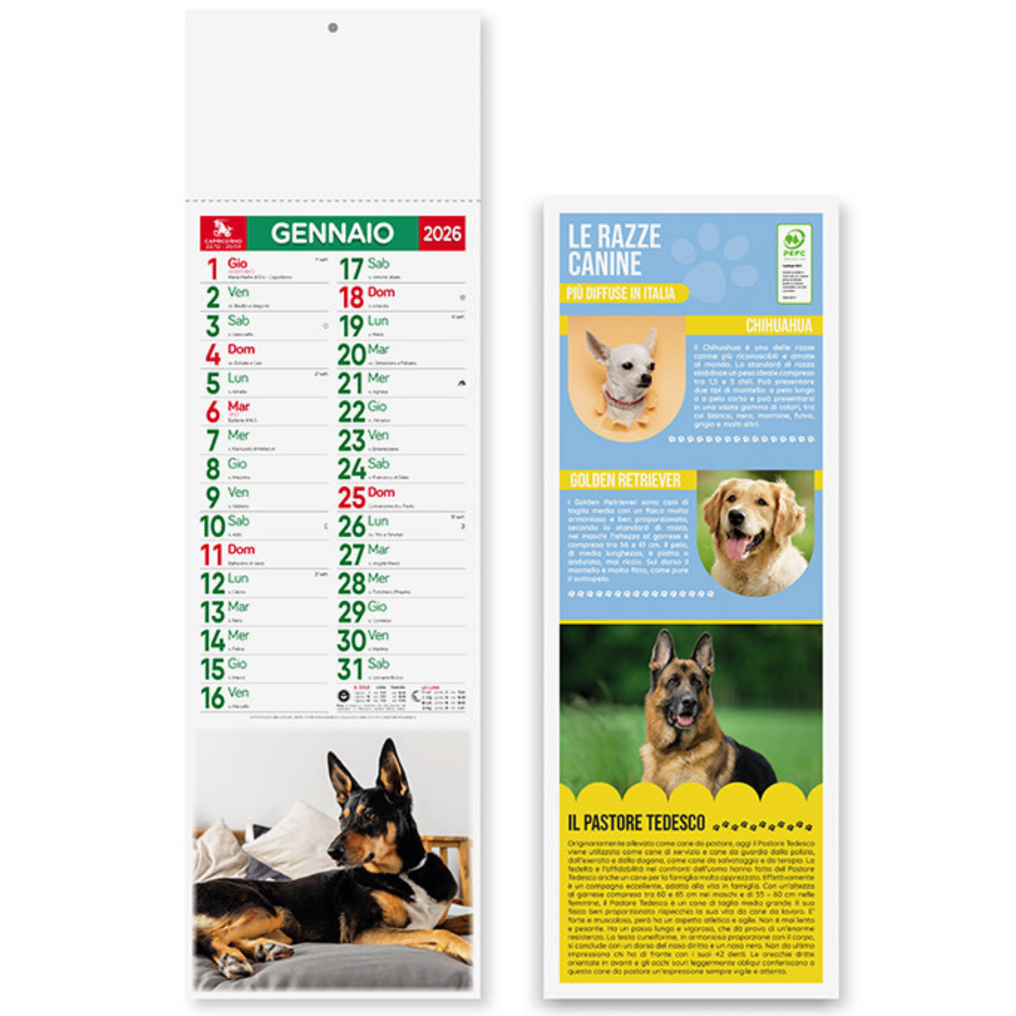 Calendario illustrato 2026 Cani e Gatti Slim | Cod. PA191