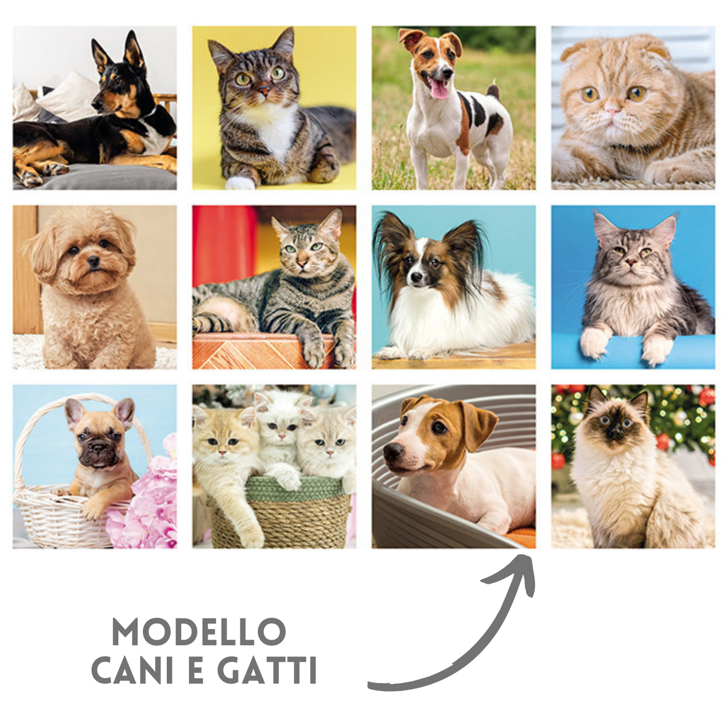 Calendario illustrato 2026 Cani e Gatti Slim | Cod. PA191