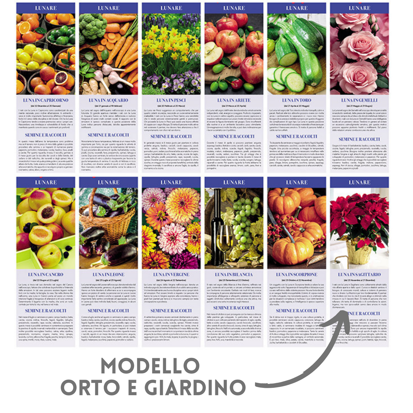 Calendario illustrato 2026 Orto e Giardino | Cod. PA152