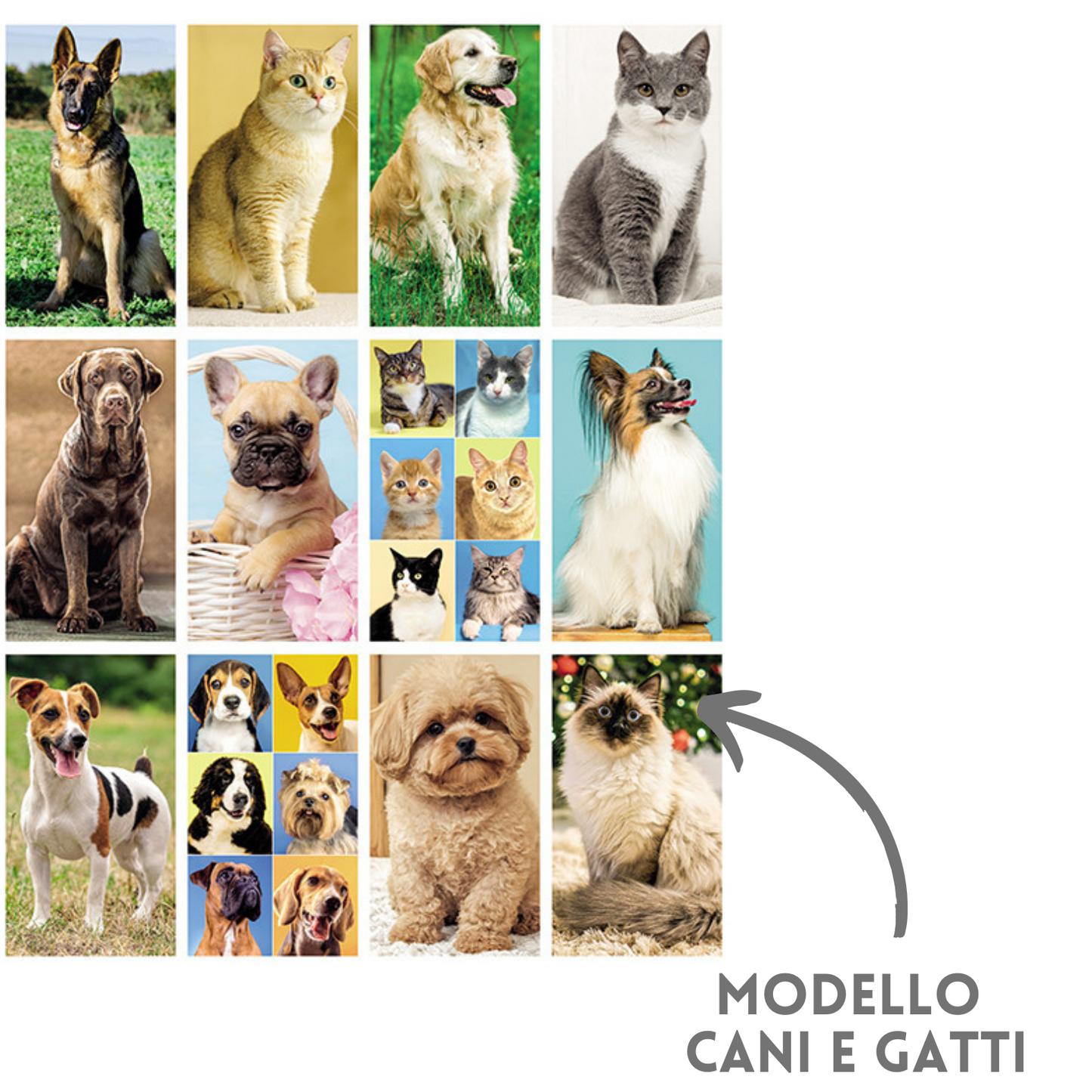 Calendario illustrato 2026 cani e gatti | Cod. PA108