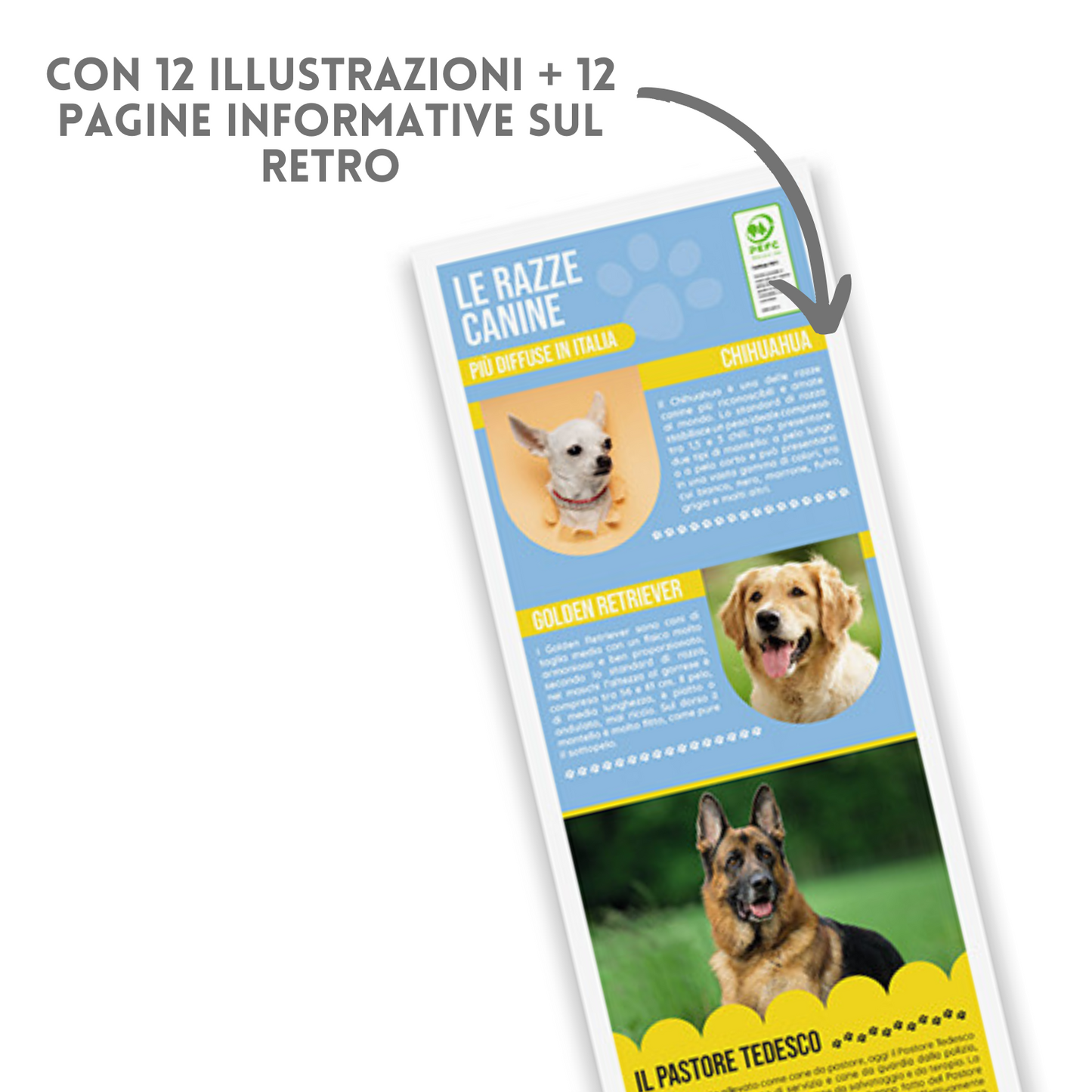 Calendario illustrato 2026 Cani e Gatti Slim | Cod. PA191