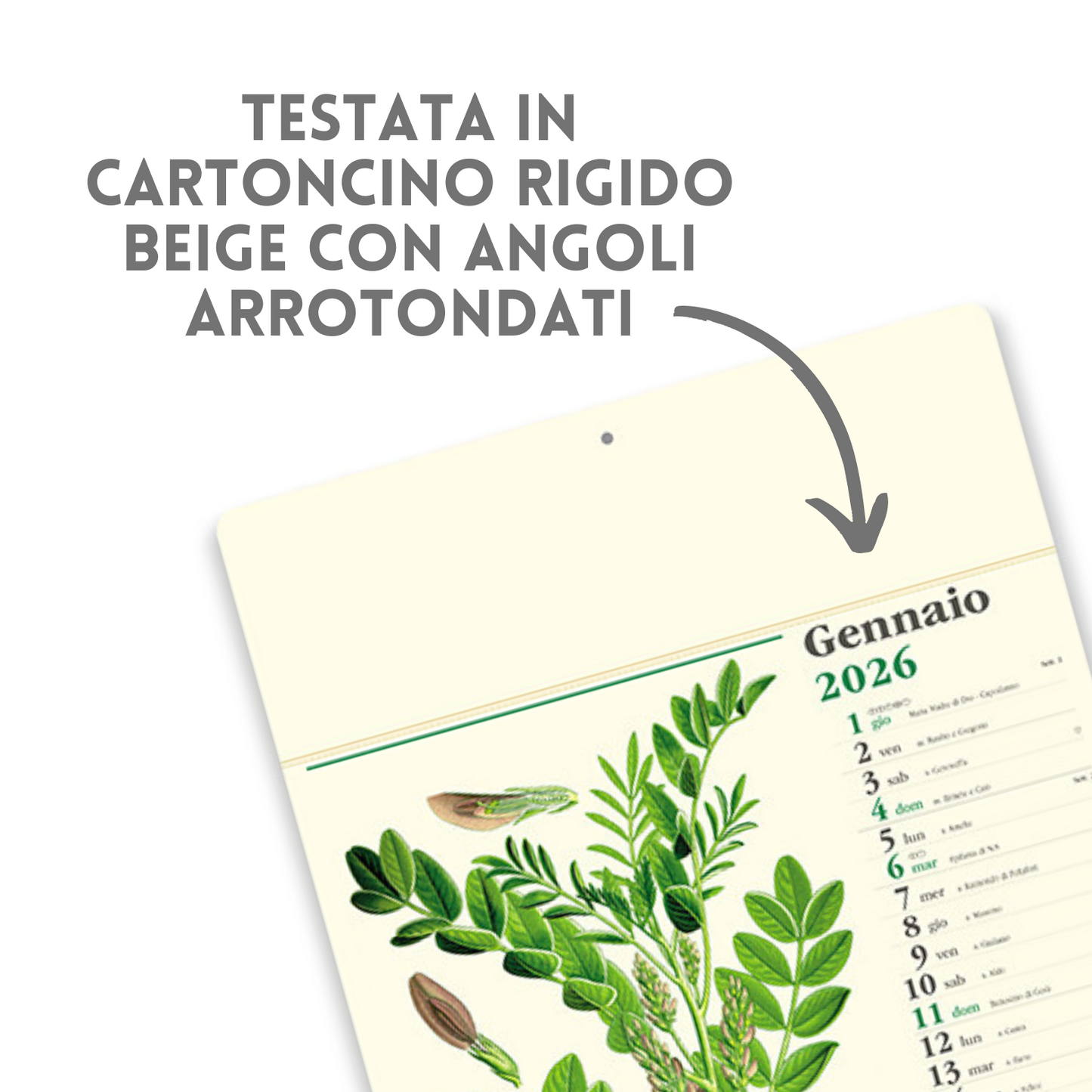 Calendario illustrato 2026 Erboristeria | Cod. PA011