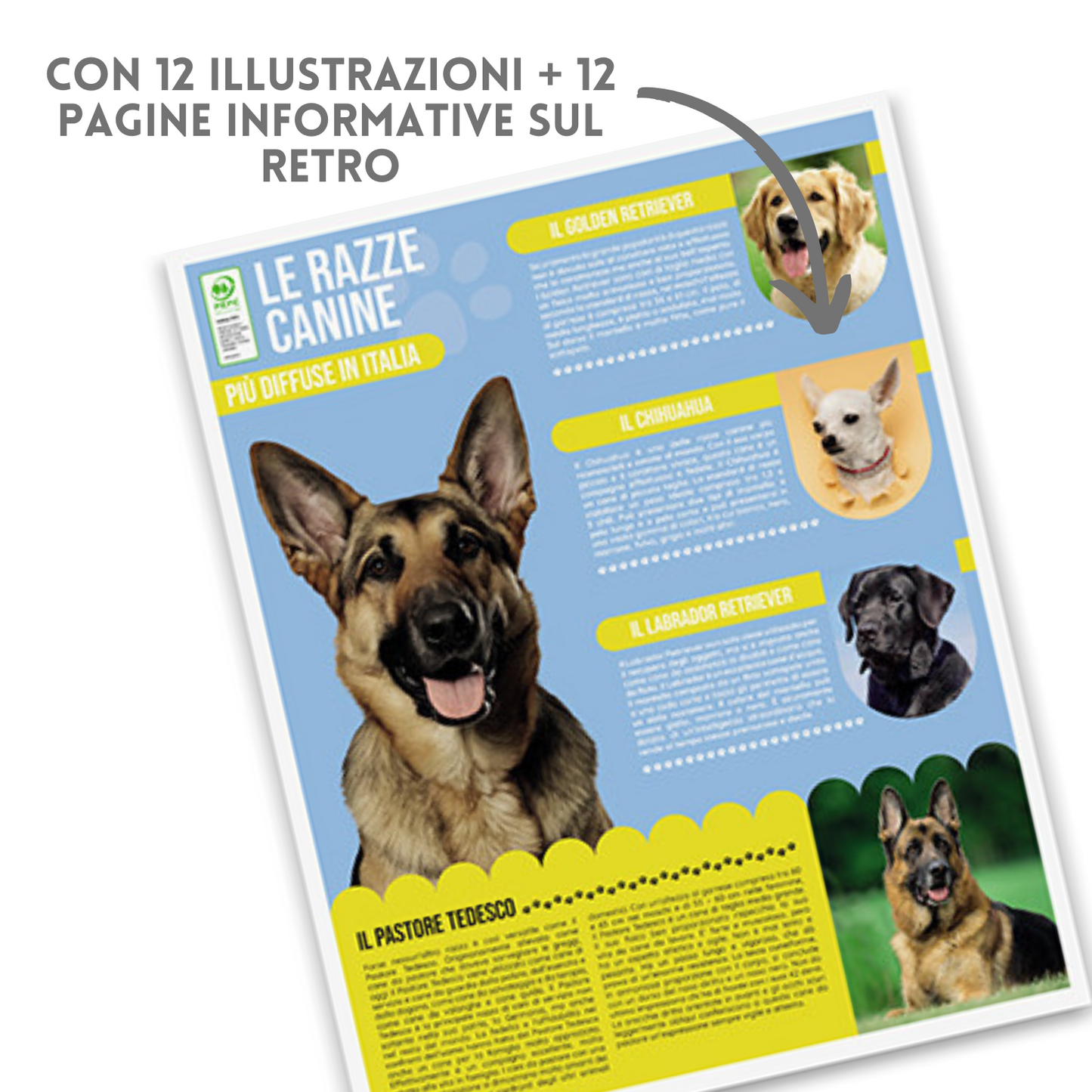Calendario illustrato 2026 cani e gatti | Cod. PA108