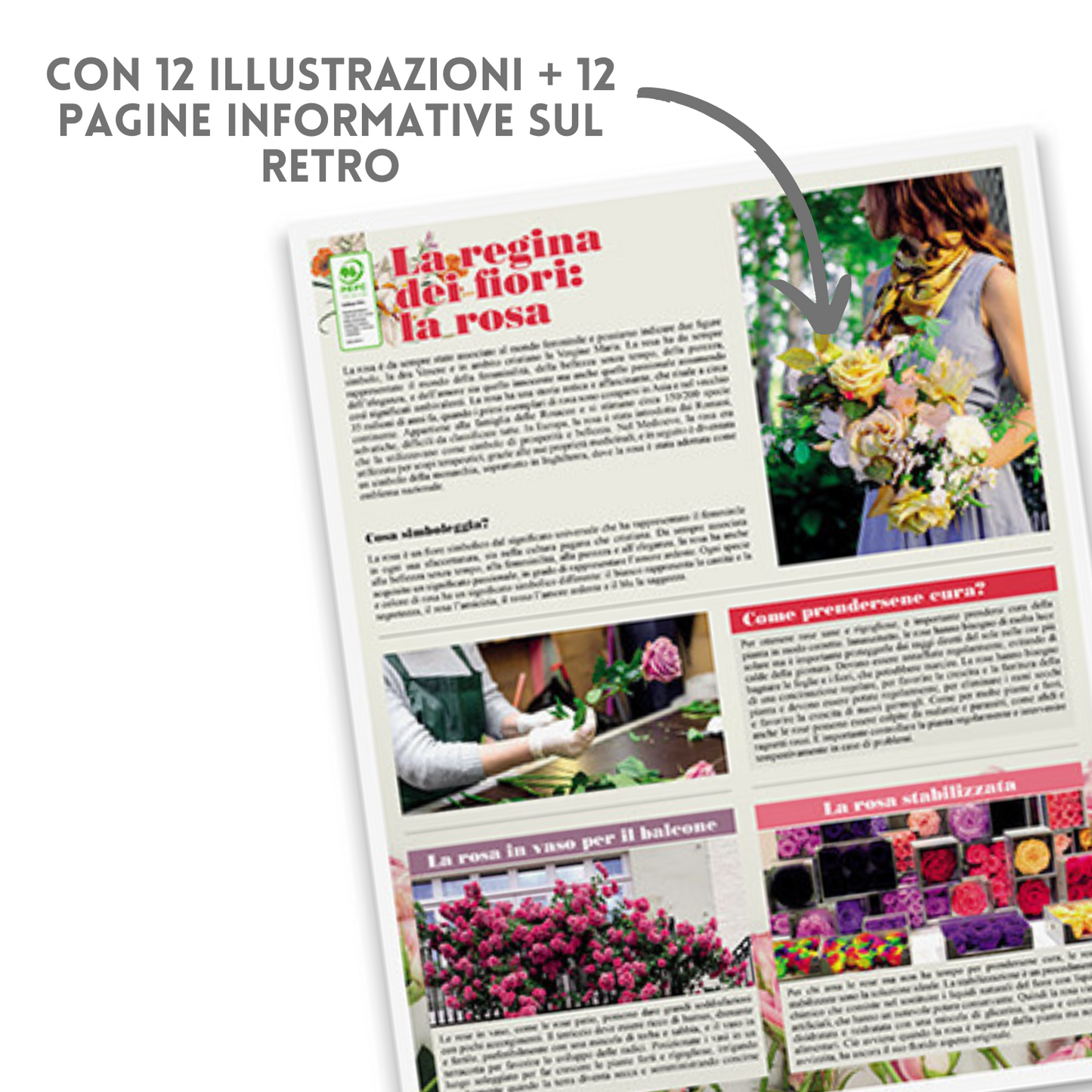 Calendario illustrato 2026 Fiori | Cod. PA103