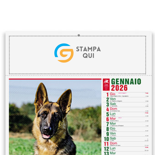 Calendario illustrato 2026 cani e gatti | Cod. PA108