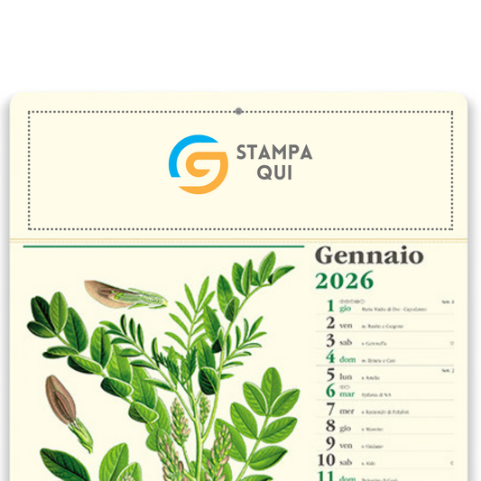 Calendario illustrato 2026 Erboristeria | Cod. PA011