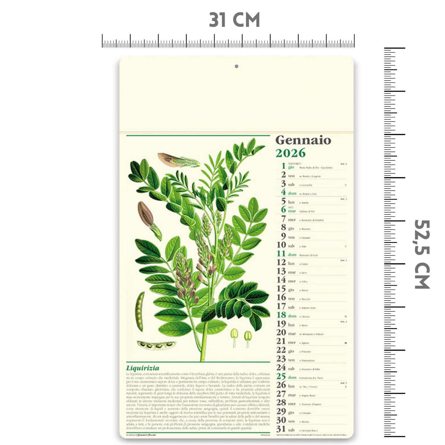 Calendario illustrato 2026 Erboristeria | Cod. PA011