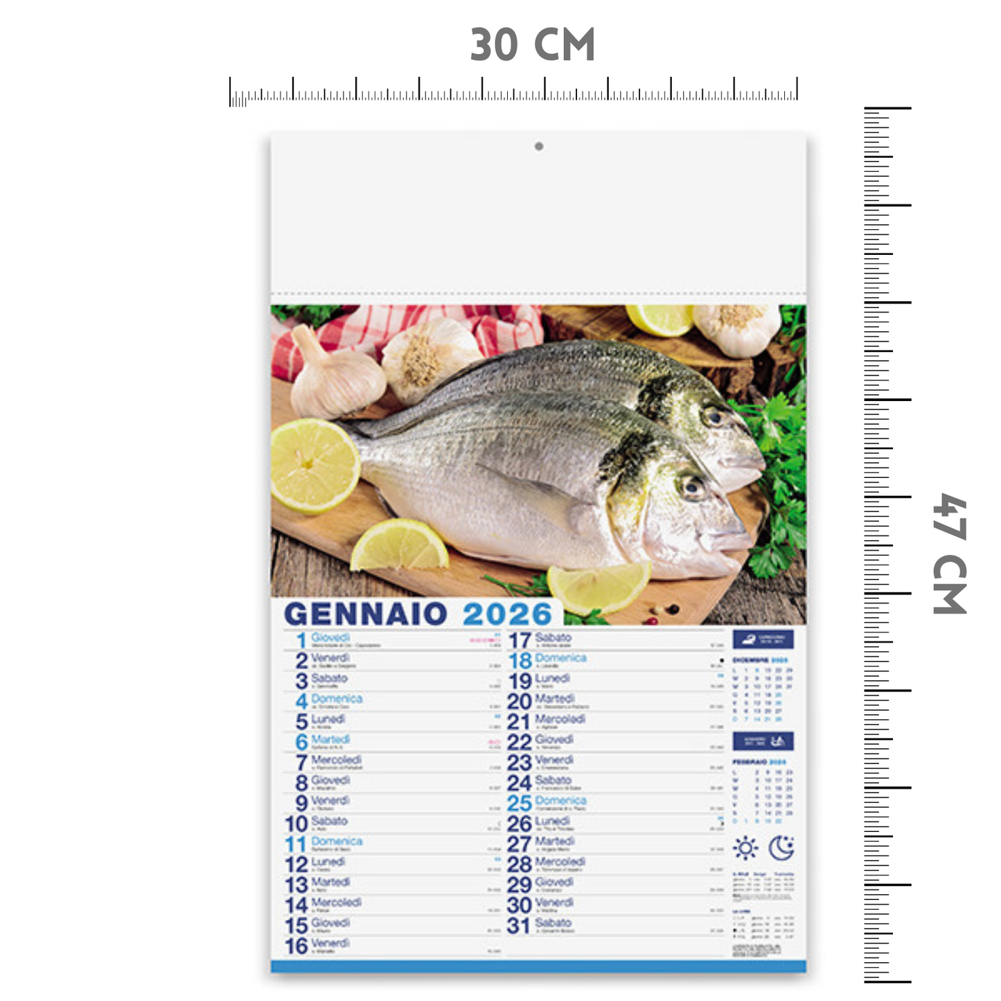 Calendario illustrato 2026 Mare in Tavola | Cod. PA144