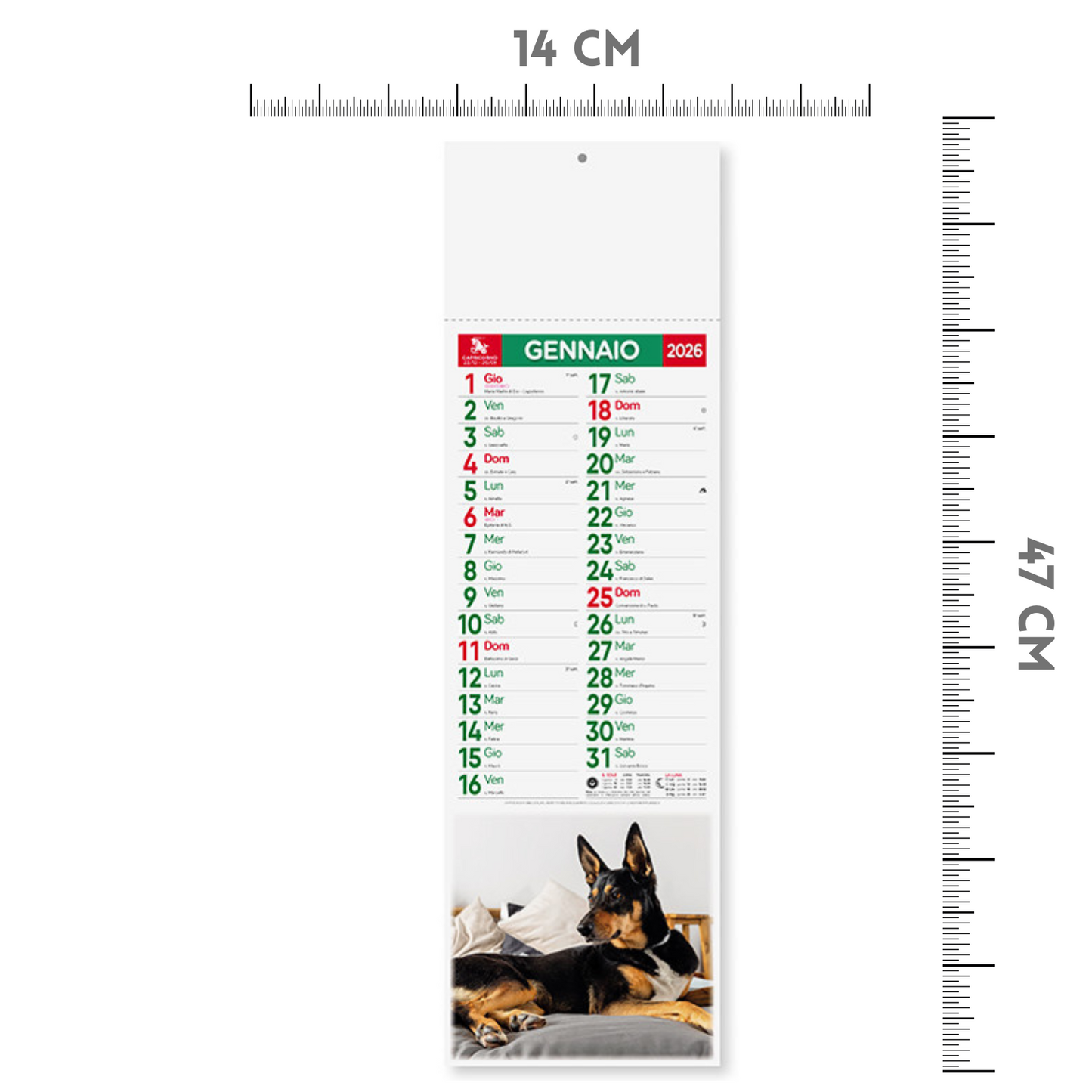 Calendario illustrato 2026 Cani e Gatti Slim | Cod. PA191
