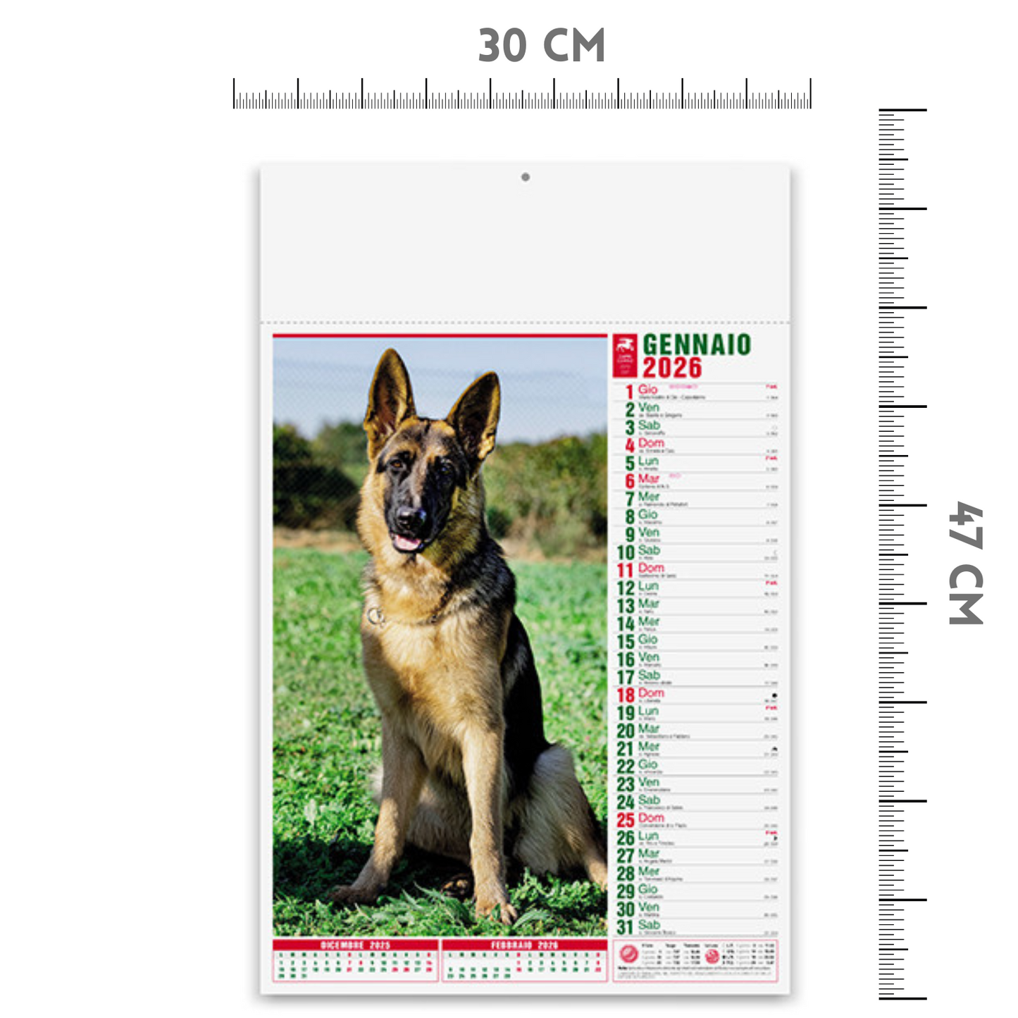 Calendario illustrato 2026 cani e gatti | Cod. PA108