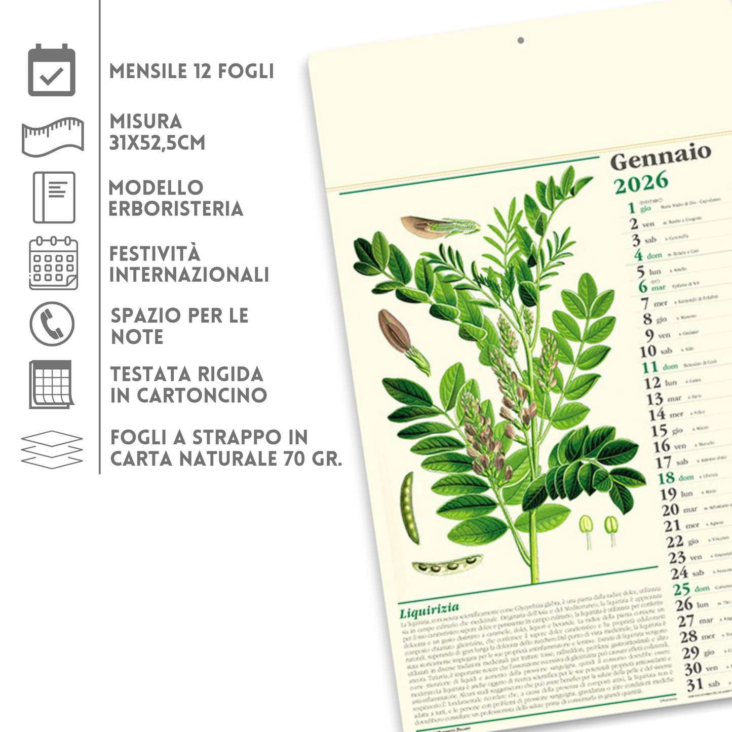 Calendario illustrato 2026 Erboristeria | Cod. PA011