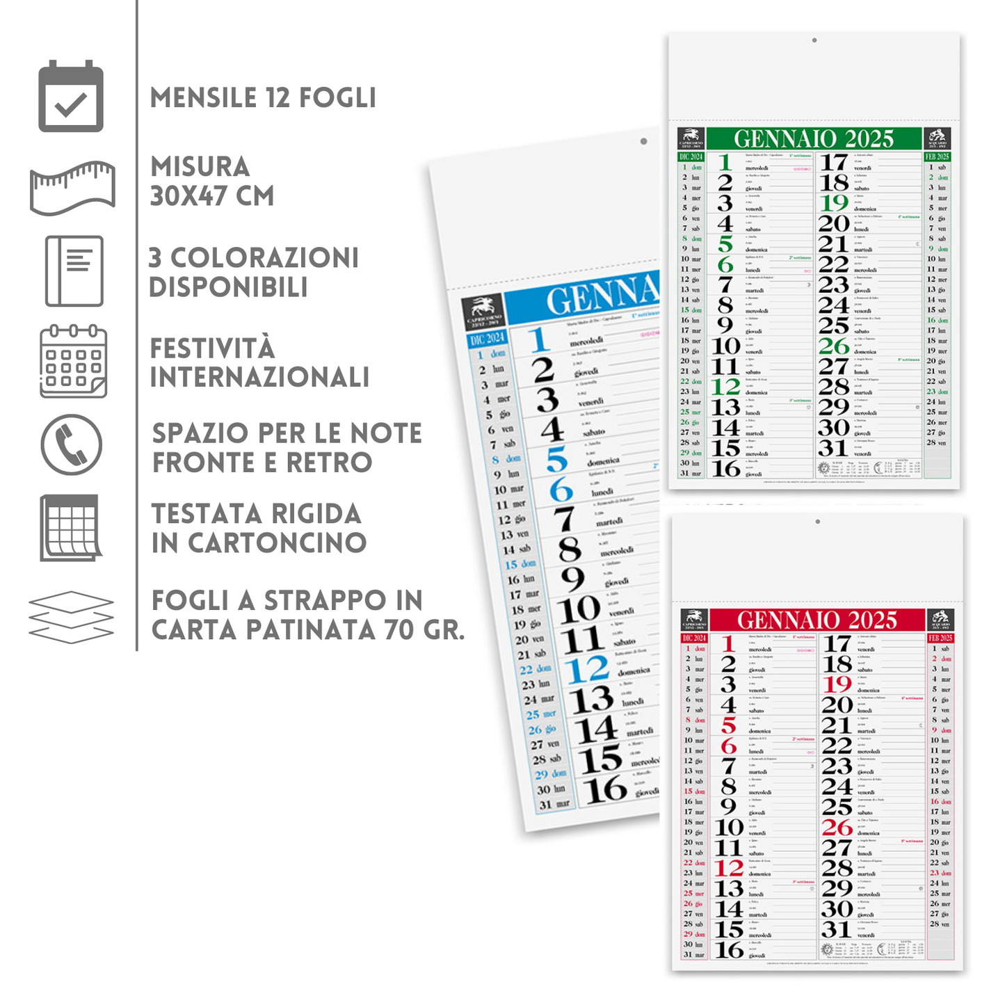 Calendari personalizzati 2025 olandesi PA640
