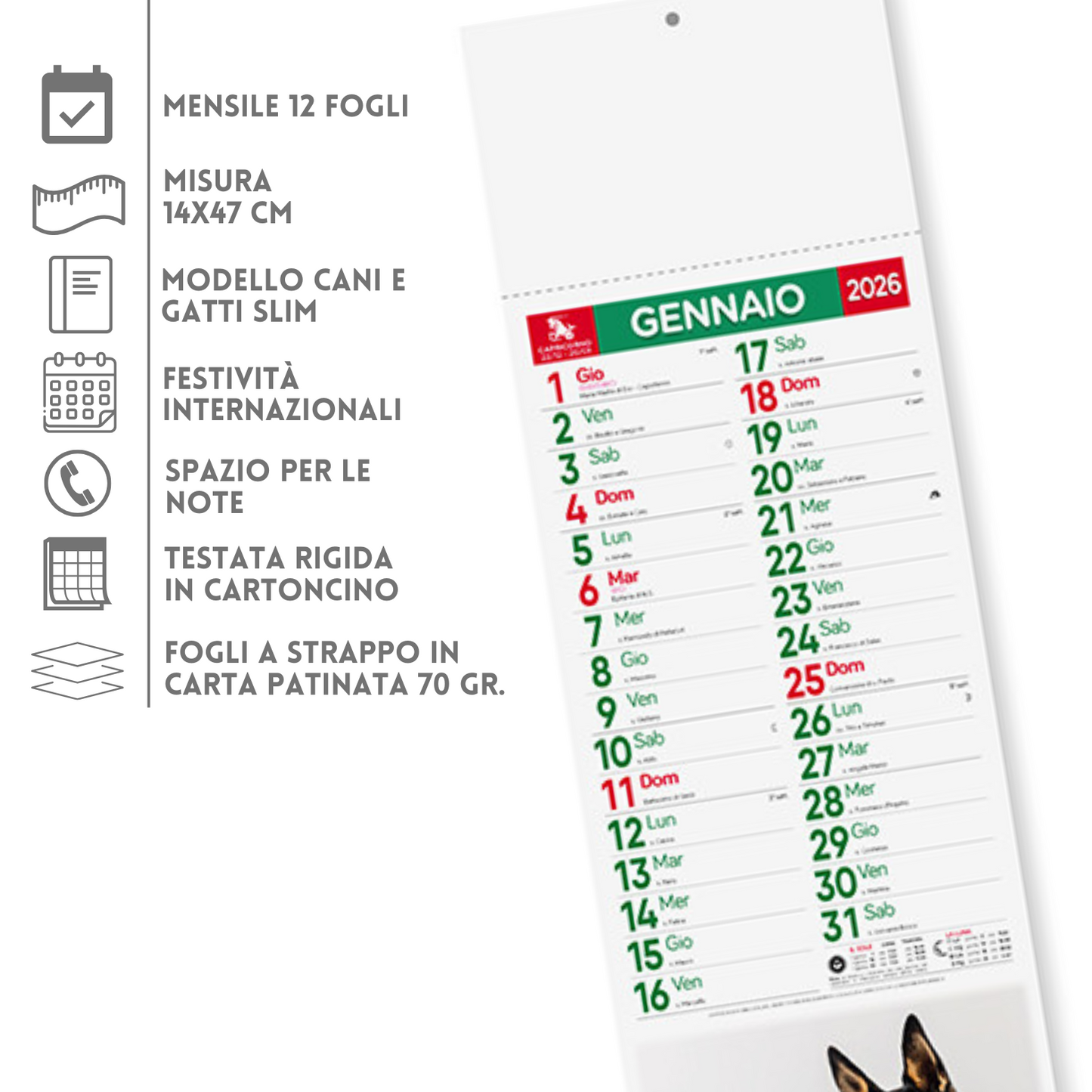 Calendario illustrato 2026 Cani e Gatti Slim | Cod. PA191