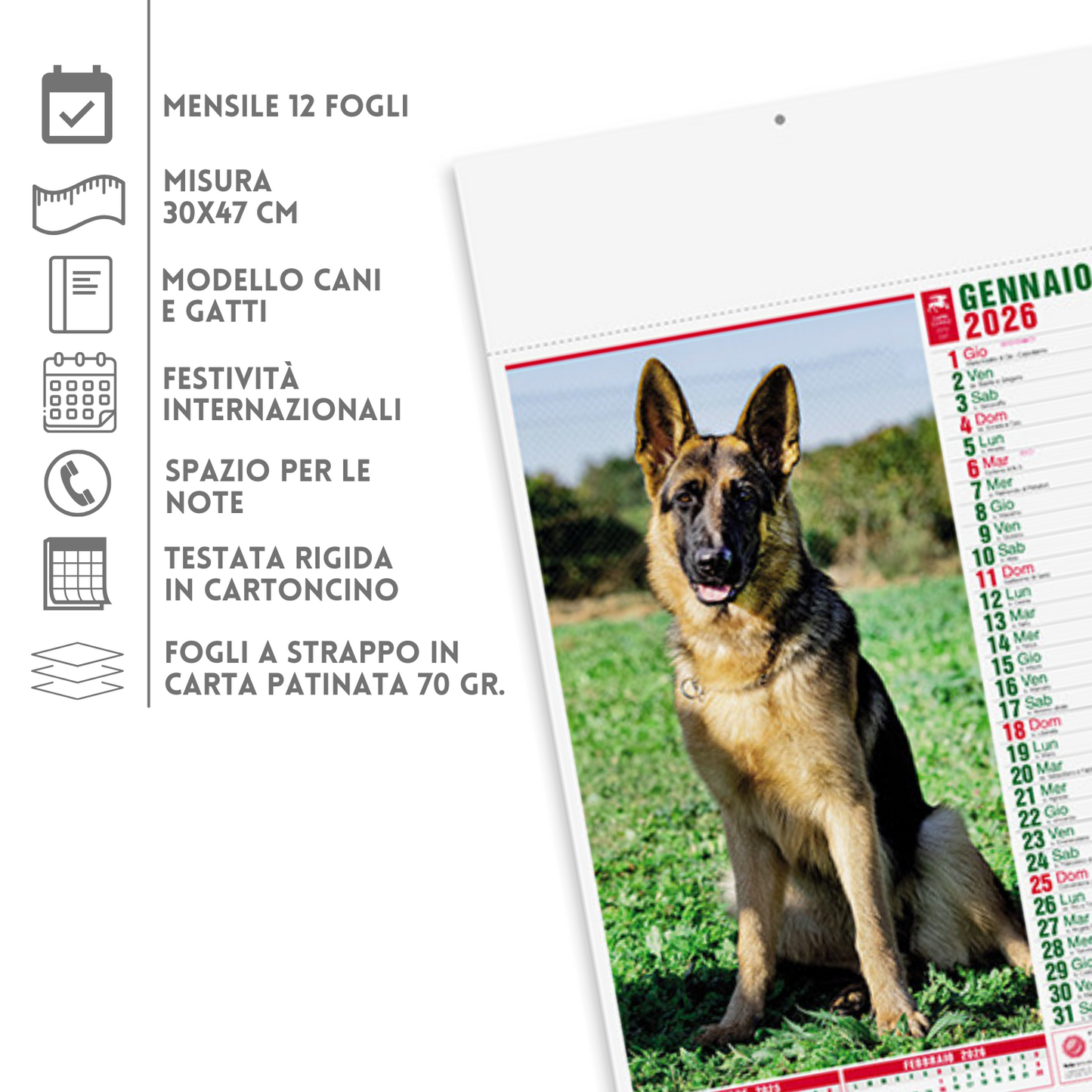 Calendario illustrato 2026 cani e gatti | Cod. PA108