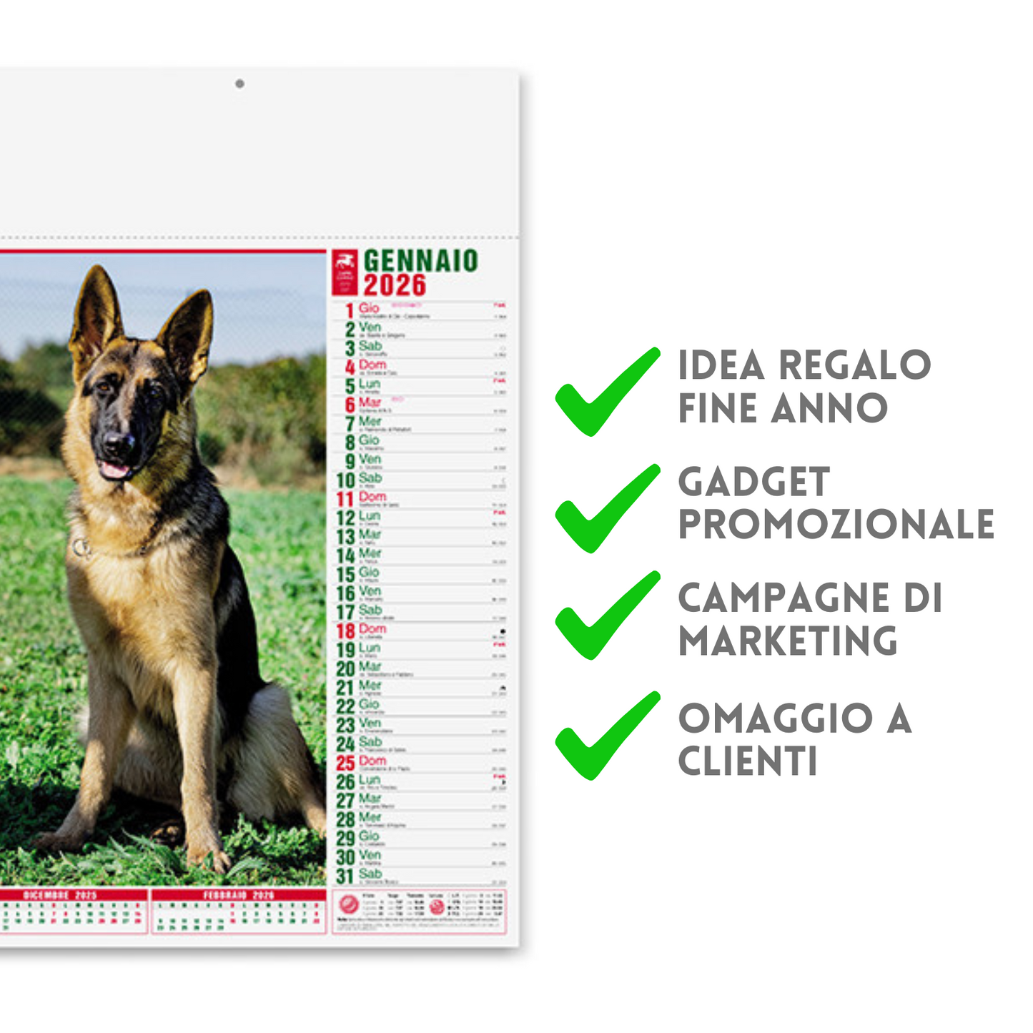 Calendario illustrato 2026 cani e gatti | Cod. PA108