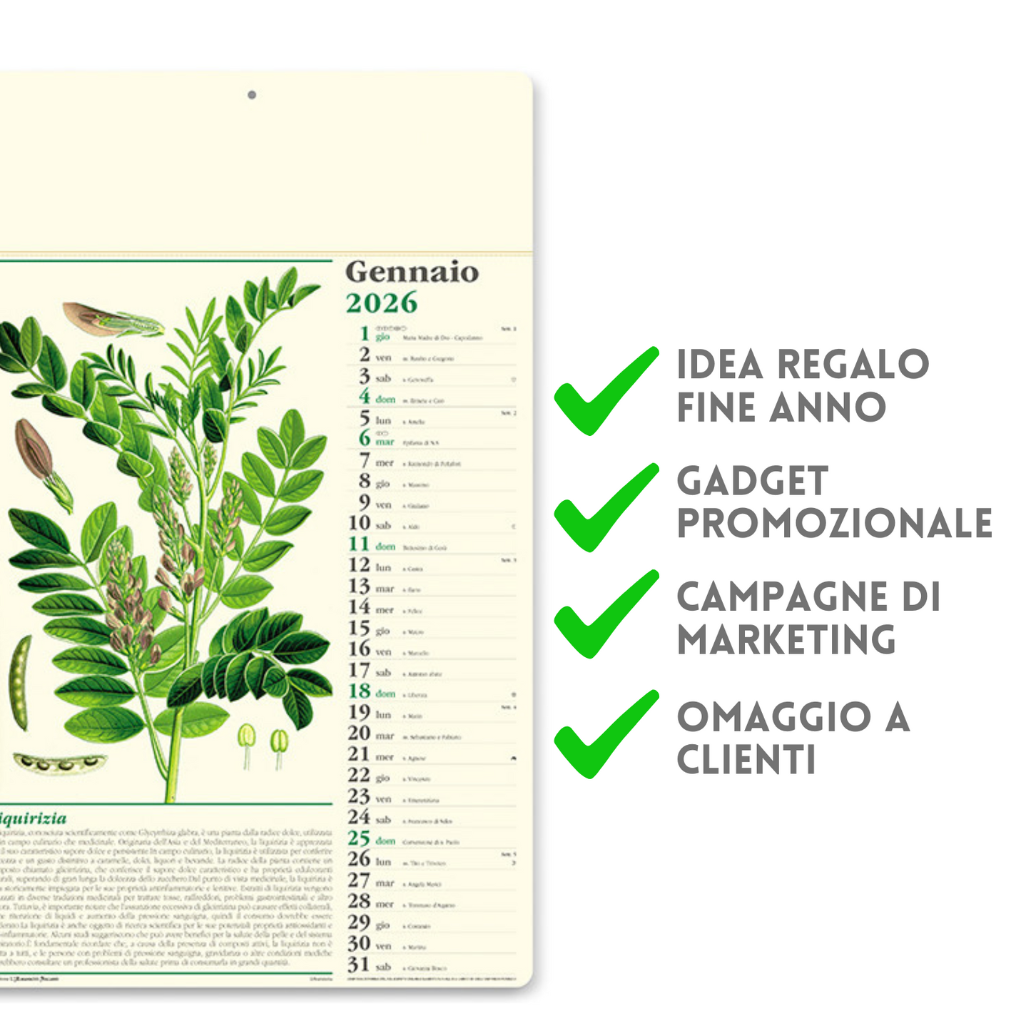 Calendario illustrato 2026 Erboristeria | Cod. PA011
