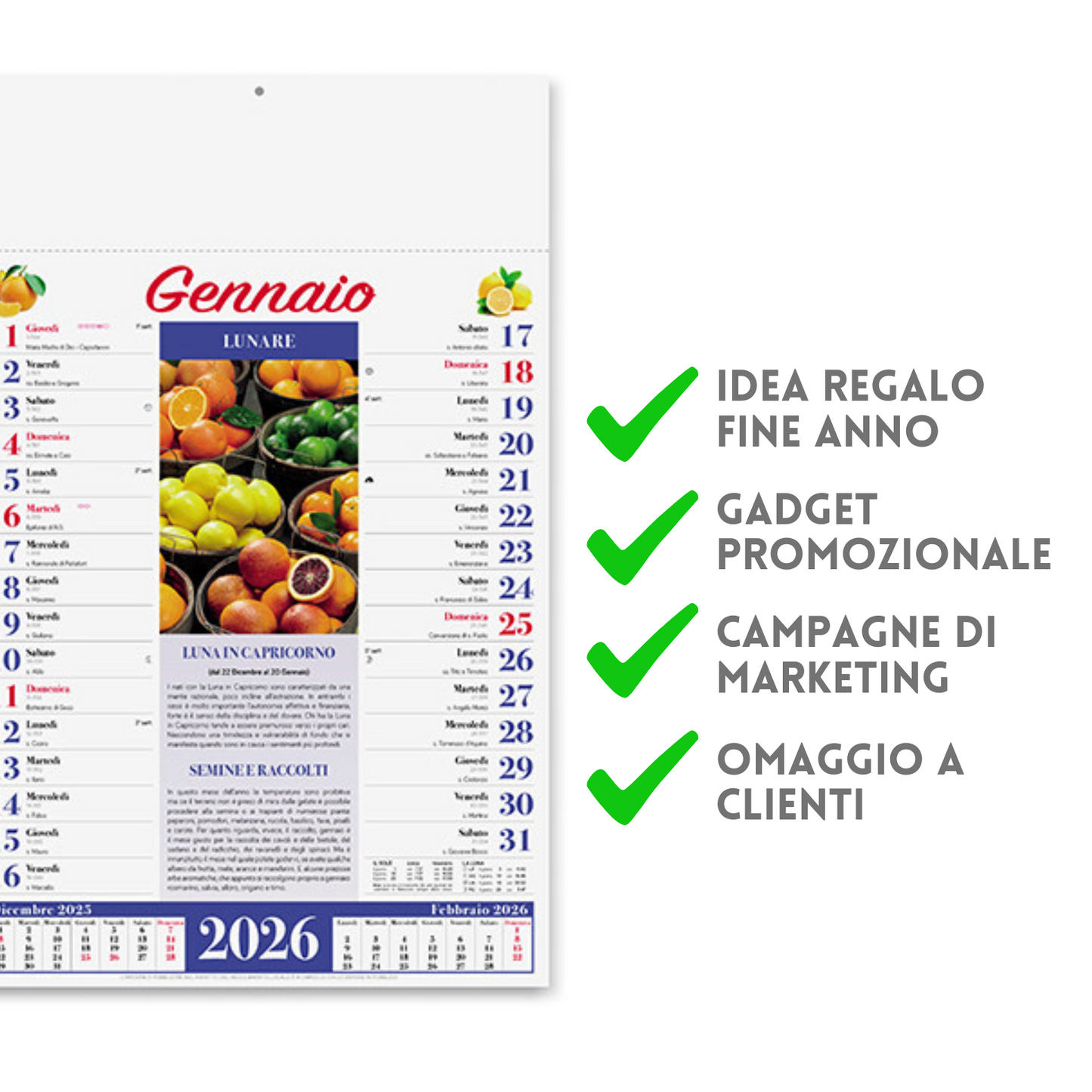 Calendario illustrato 2026 Orto e Giardino | Cod. PA152