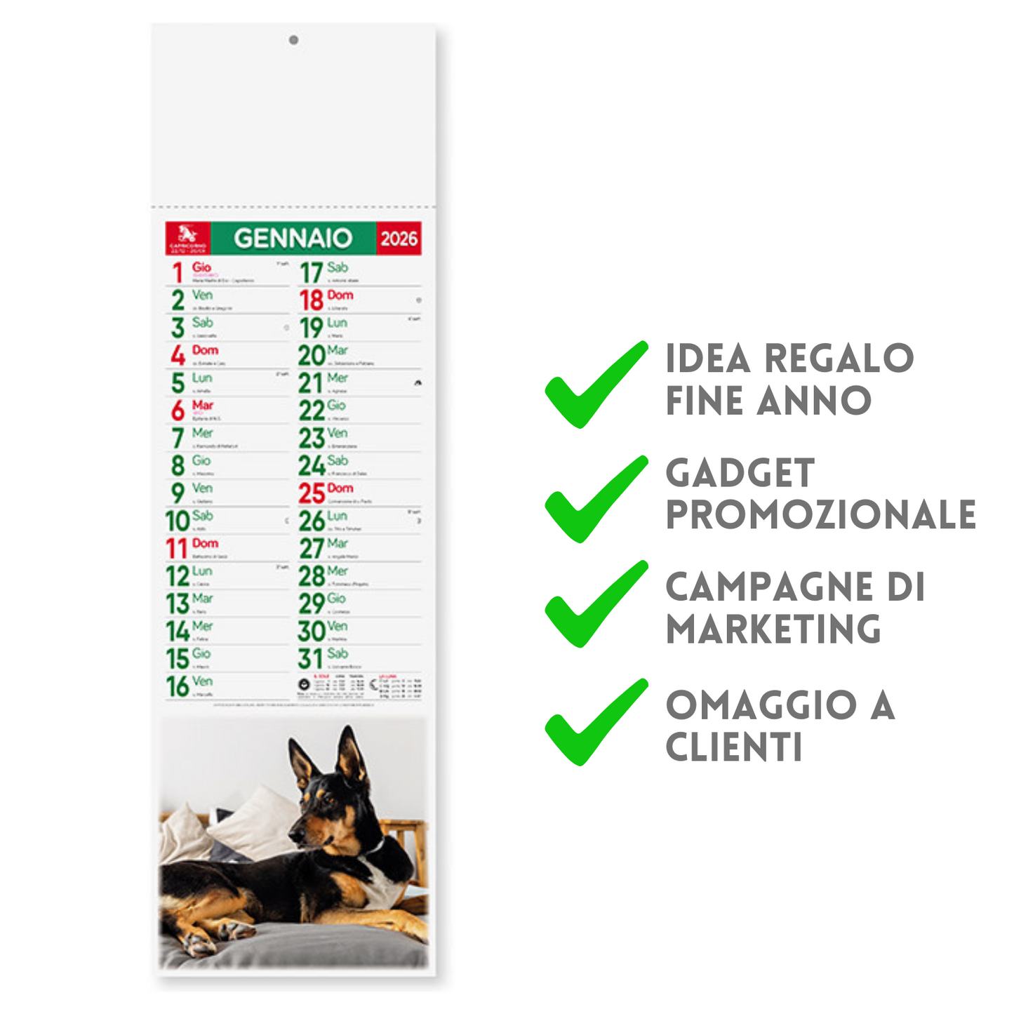 Calendario illustrato 2026 Cani e Gatti Slim | Cod. PA191