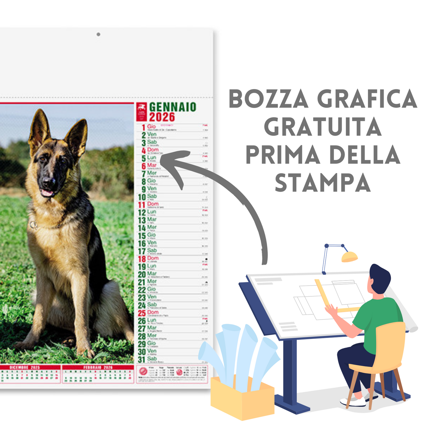 Calendario illustrato 2026 cani e gatti | Cod. PA108