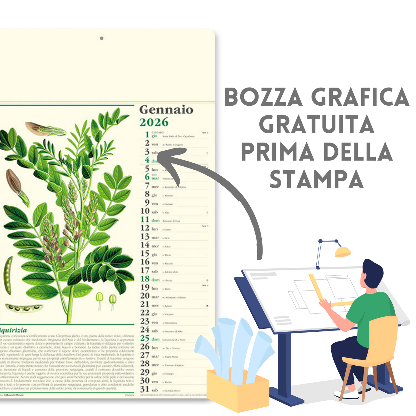 Calendario illustrato 2026 Erboristeria | Cod. PA011