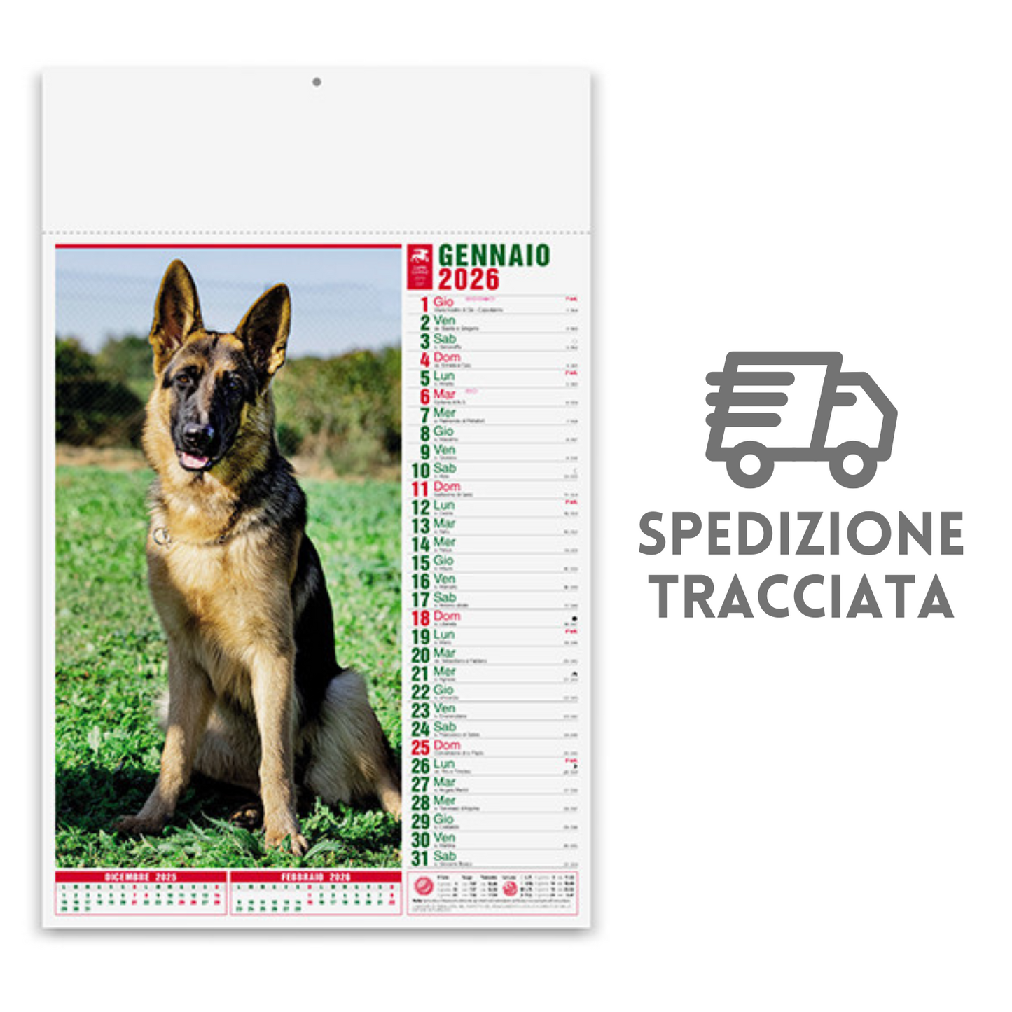 Calendario illustrato 2026 cani e gatti | Cod. PA108
