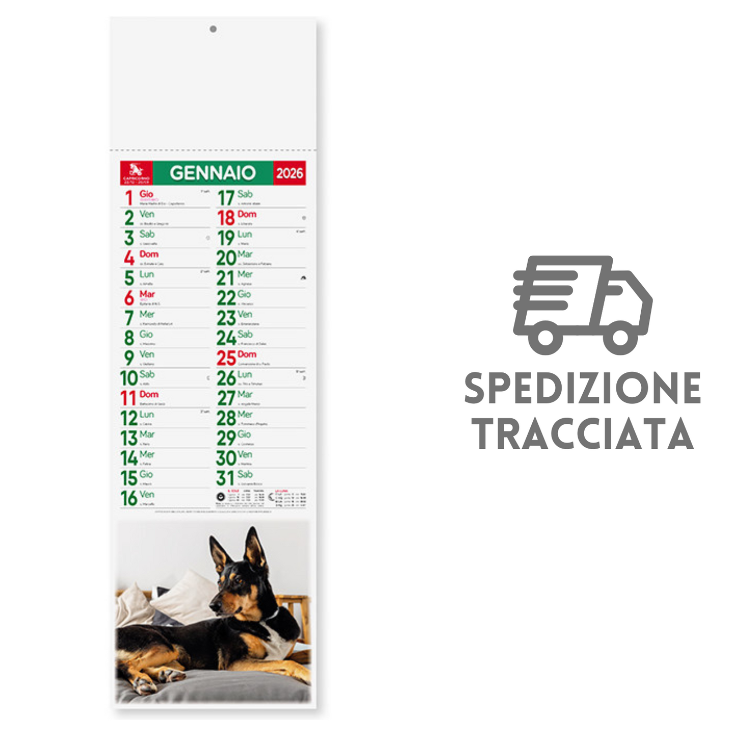 Calendario illustrato 2026 Cani e Gatti Slim | Cod. PA191