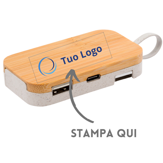 Supporto USB per smartphone 21205