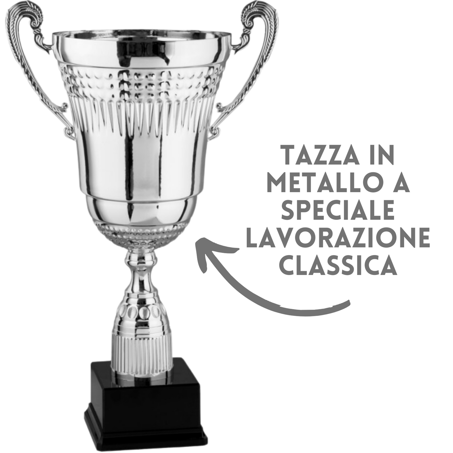 premiazioni personalizzate 2.451