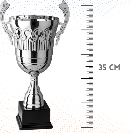 Trofeo con manici da 35 cm, peso da 1 Kg | Cod. 4.443
