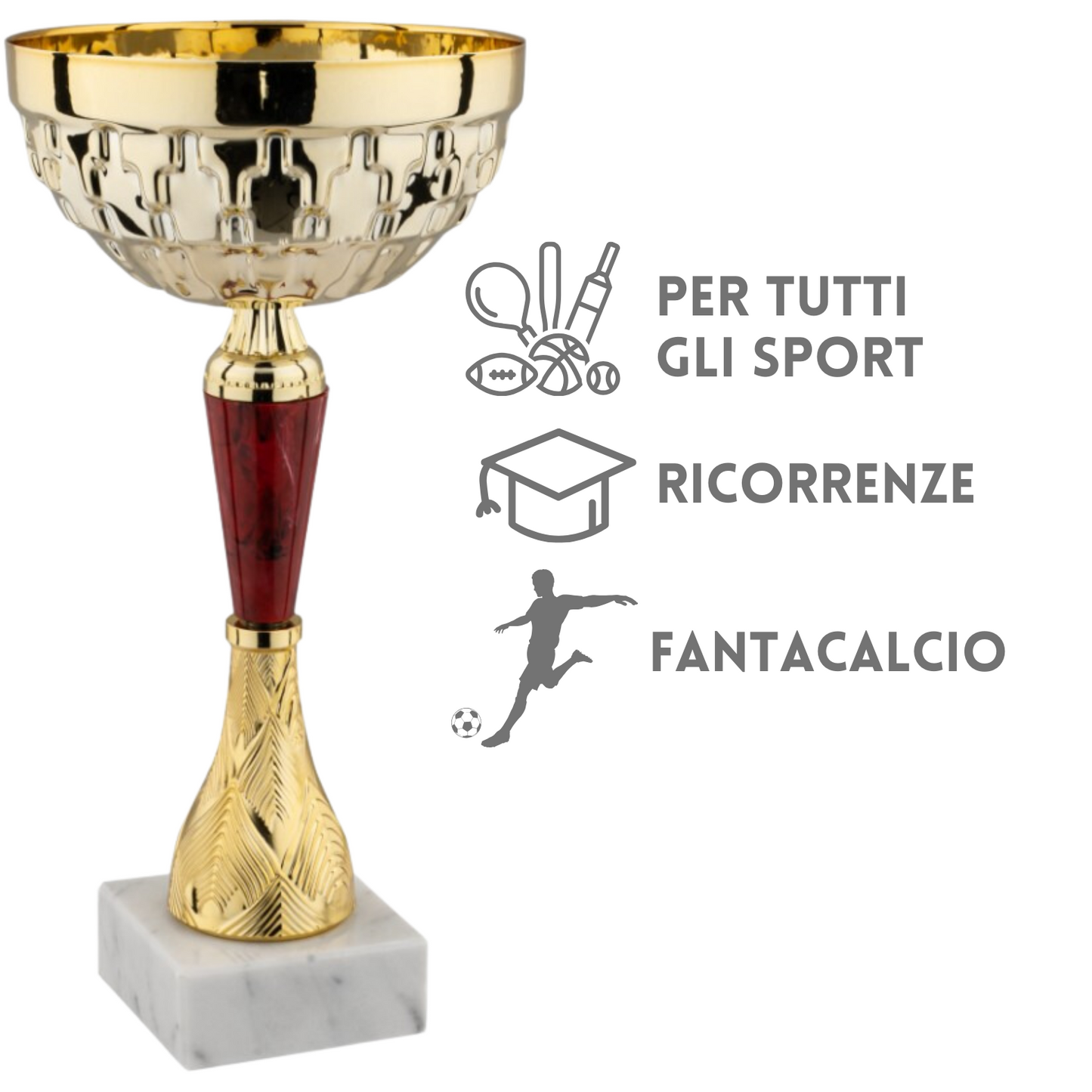 Premiazioni personalizzate 13.171G