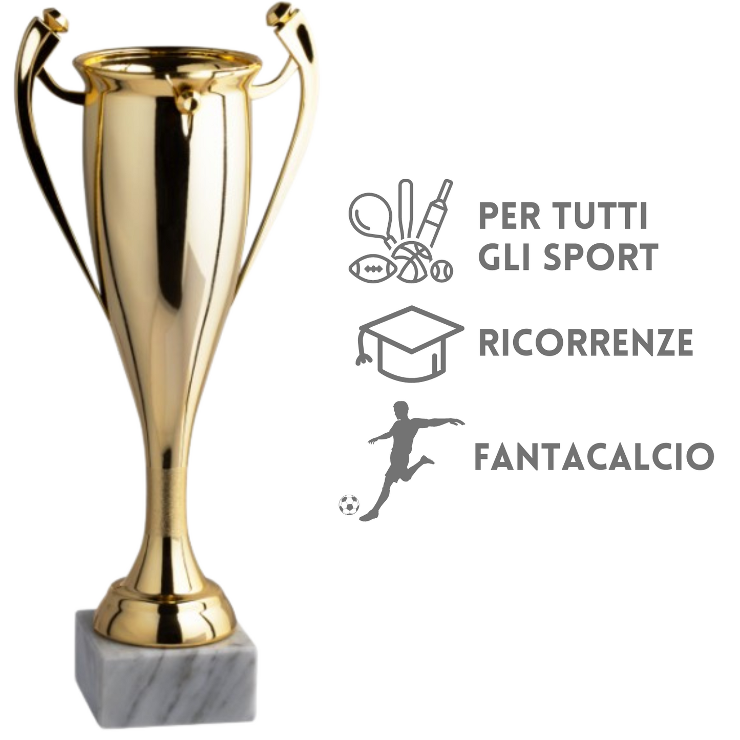 Tris di coppe trofeo personalizzate 12.959.6G