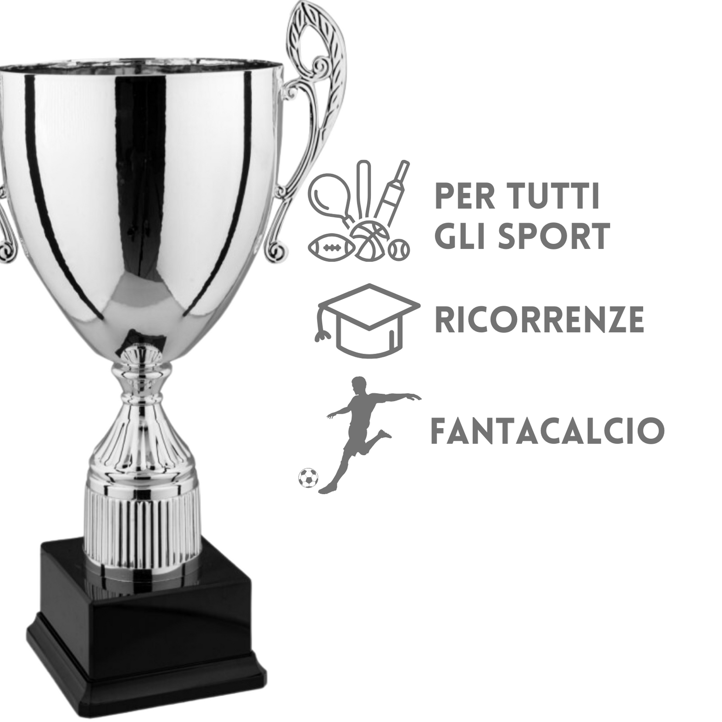 Hoole Gadget | Premiazioni personalizzate 3.209