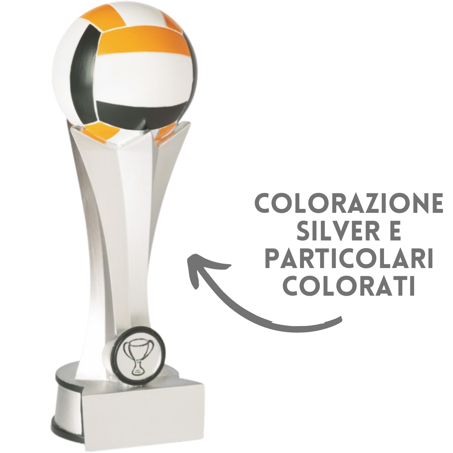 Premiazione personalizzata volley