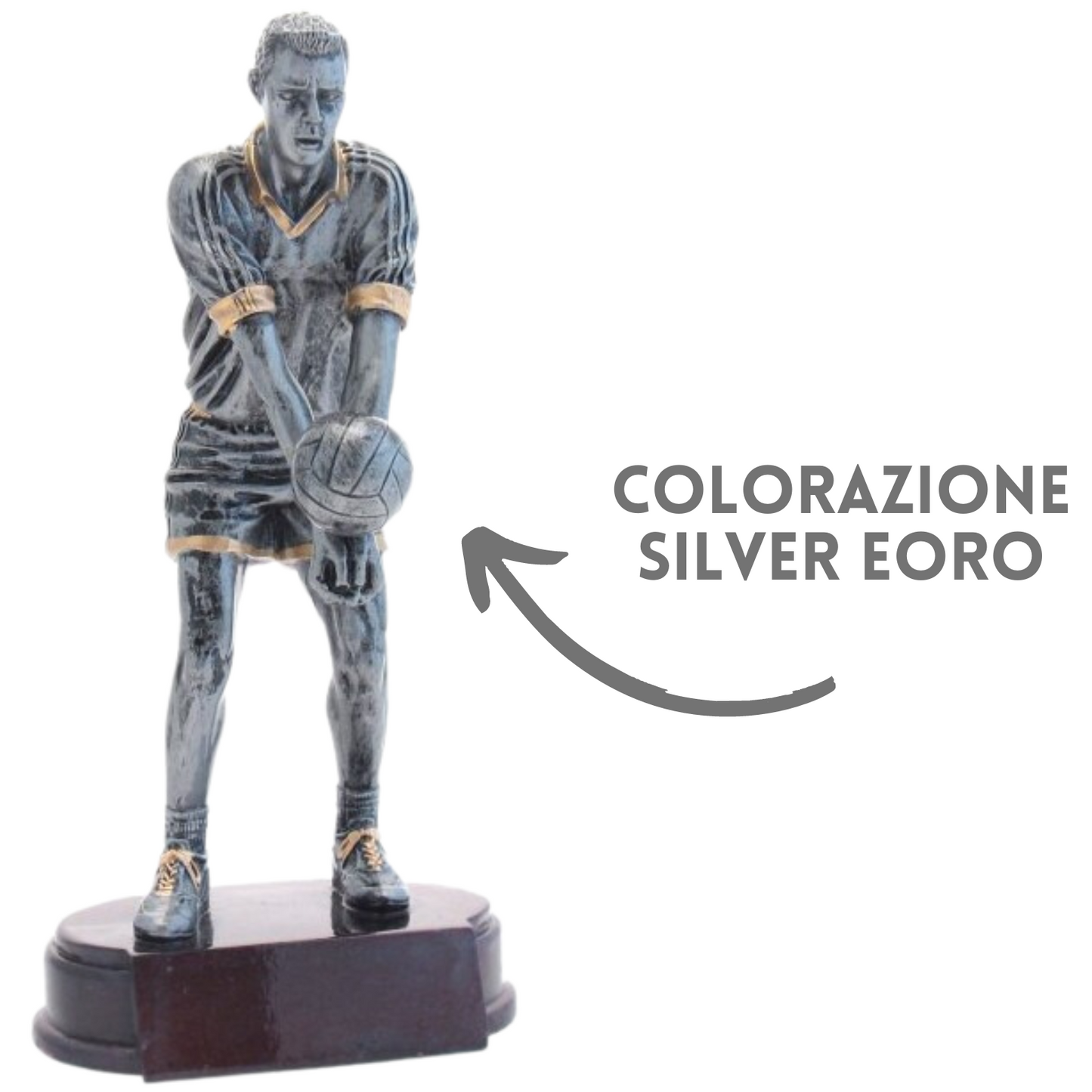 Premiazione personalizzata volley