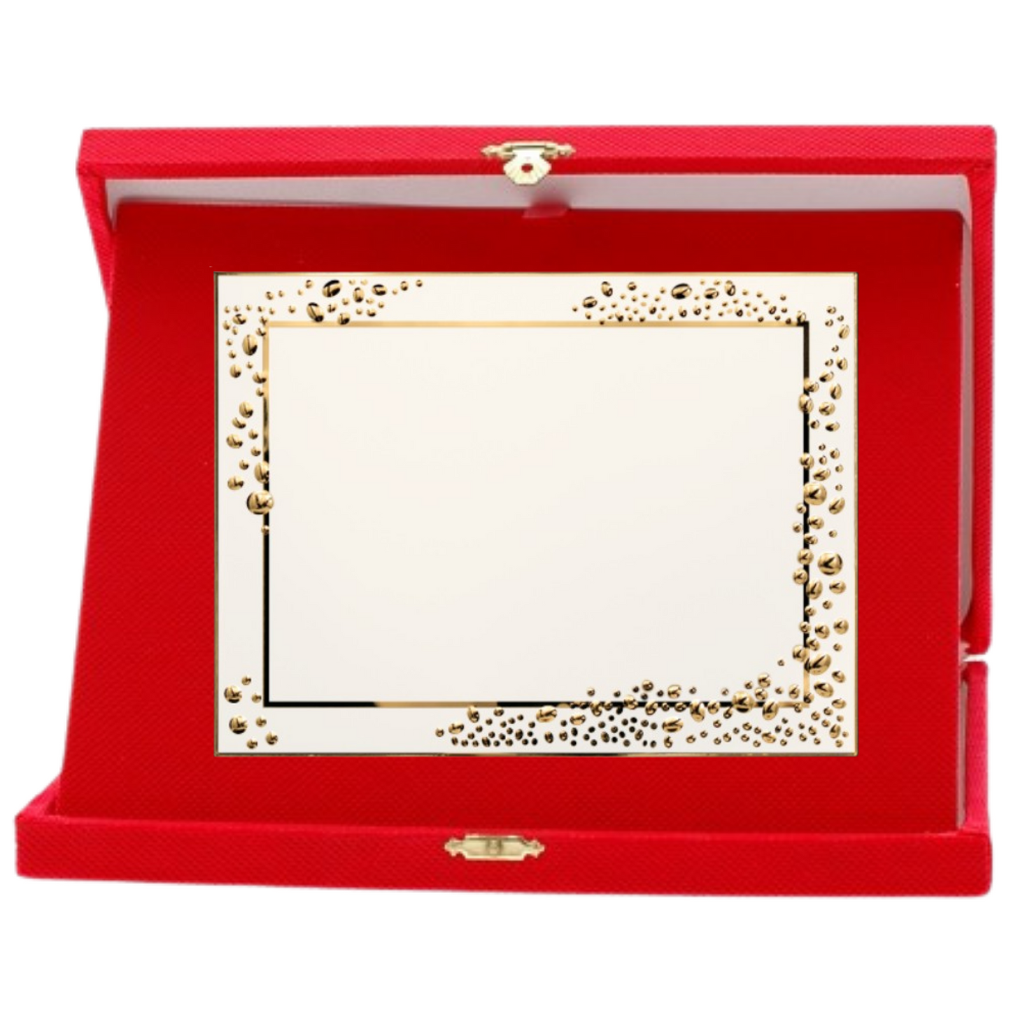 Hole Gadget | Targa riconoscimento personalizzata 19.091G