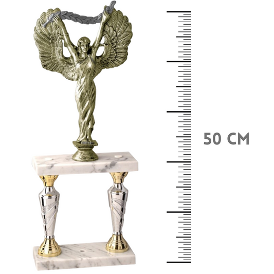 coppa trofeo personalizzata da 50 cm con targhetta