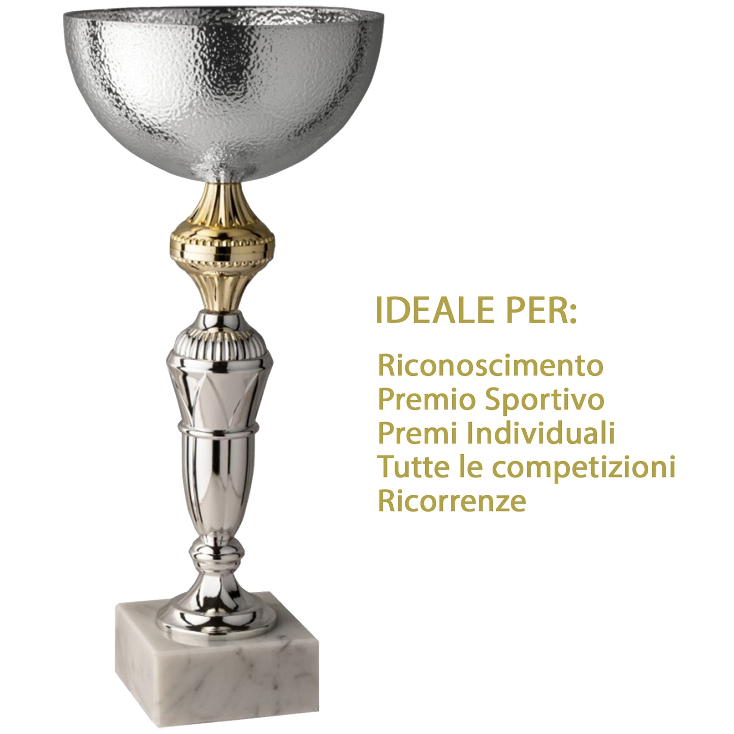 Premiazioni personalizzate coppa premio