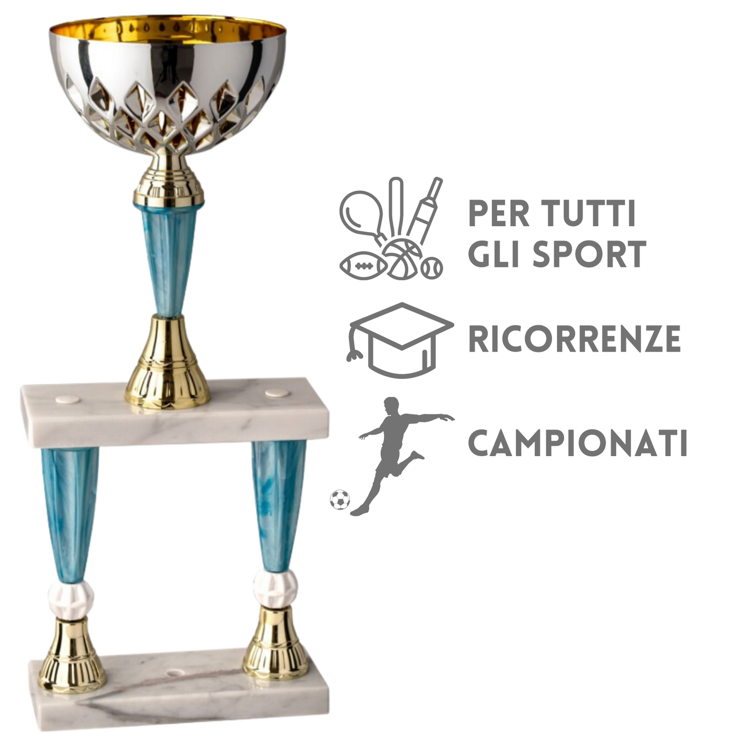 coppa trofeo personalizzata da 48 cm con targhetta