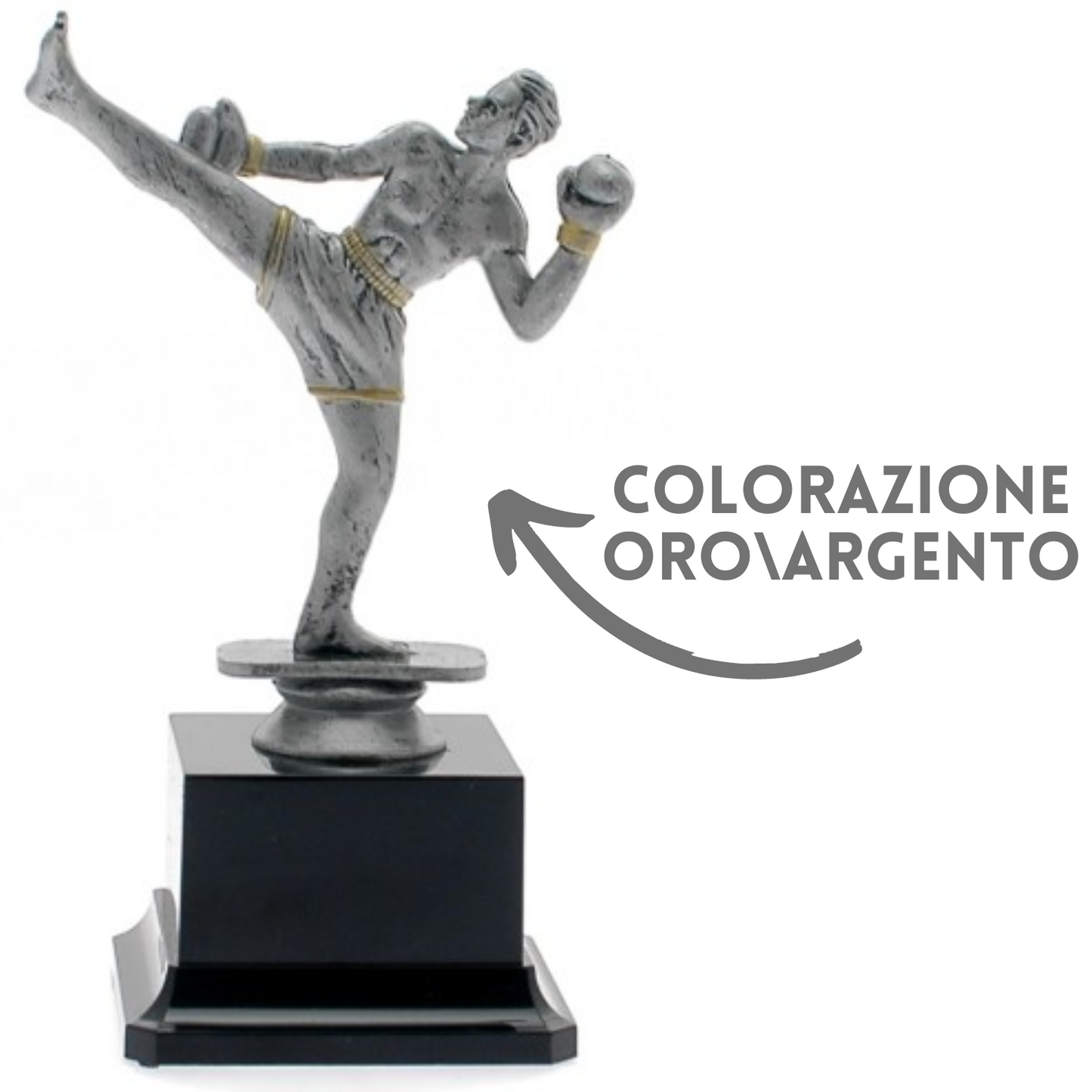 Premiazione personalizzata kick boxing