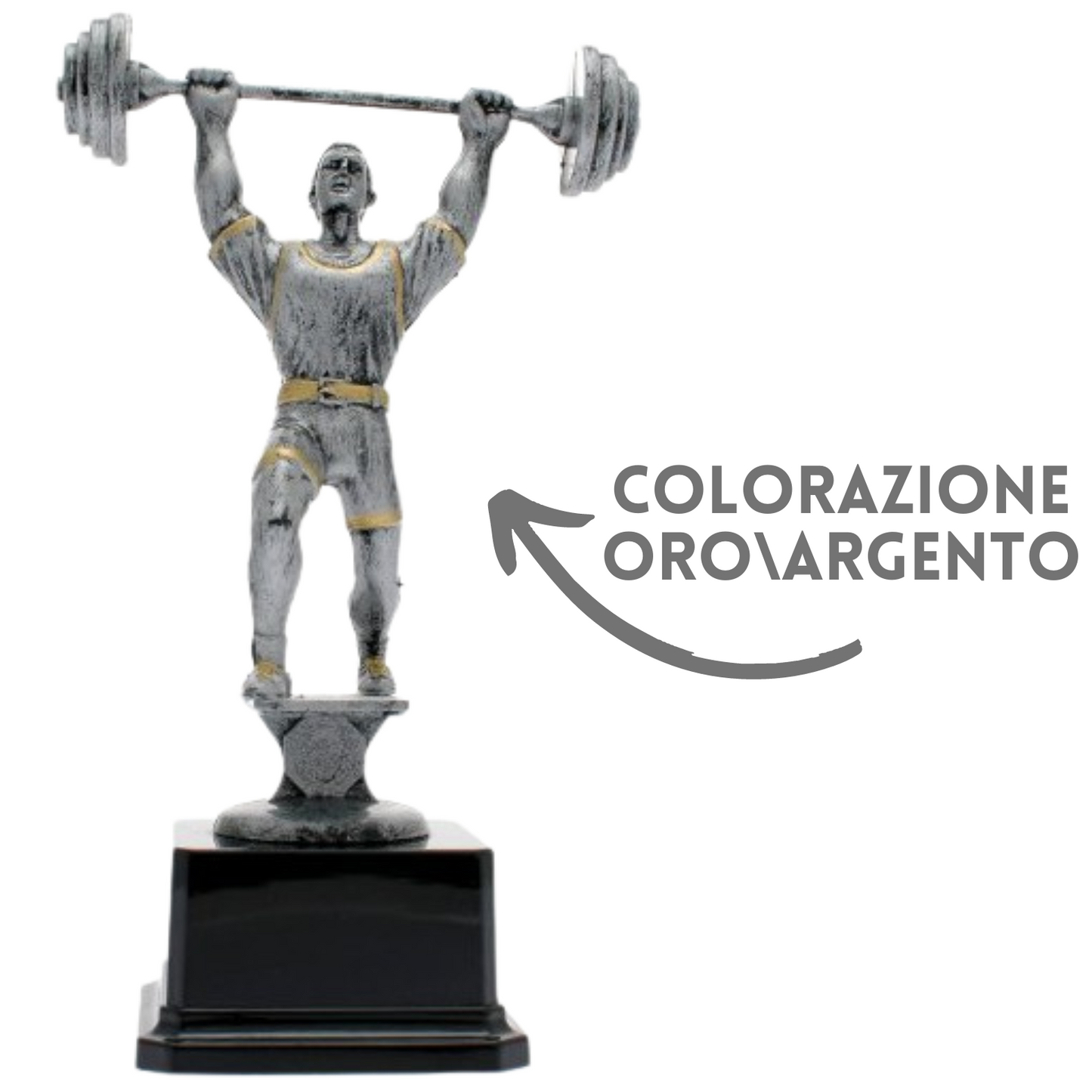 Premiazioni personalizzate pesi e palestra | Cod. 16.533D