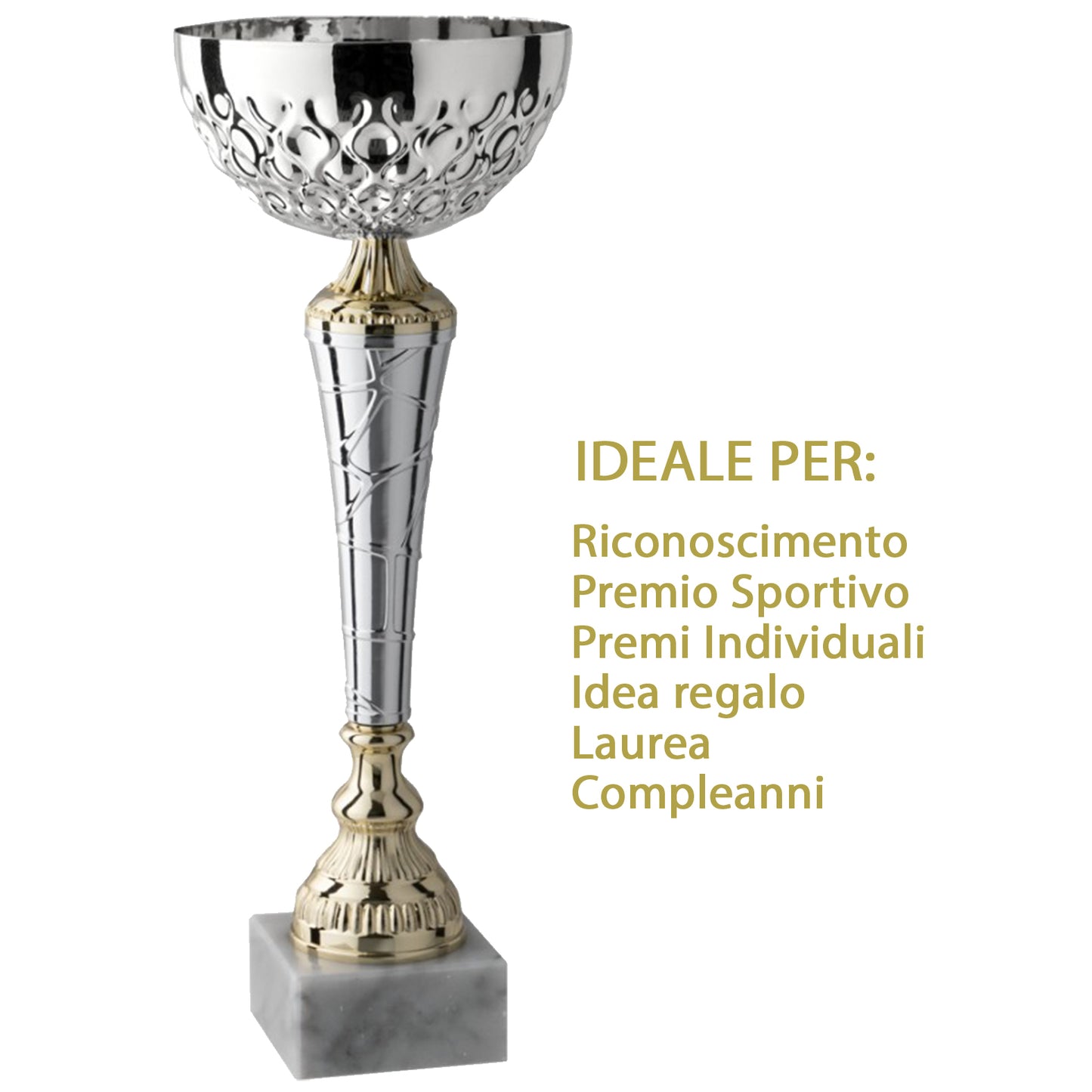 Coppa premio con targhetta personalizzata