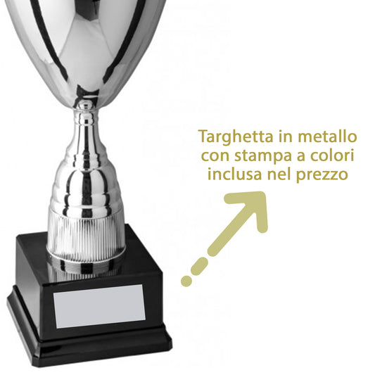 coppa trofeo personalizzata da 60 cm con targhetta