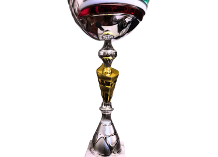 Coppa con tazza in metallo tricolore da 31 cm