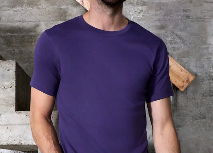 T-shirt uomo biologica Daiber JN8040 – foto prodotto HD