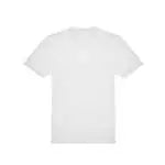BCTG002 - colore WH001