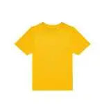 BCTK001 - colore GO210