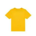 BCTK002 - colore GO210