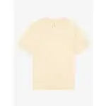 BE3010 - colore 37