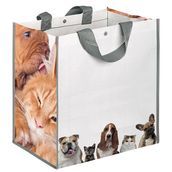 Branbox Shopper in Polipropilene Personalizzabile 35×34,5×22 cm